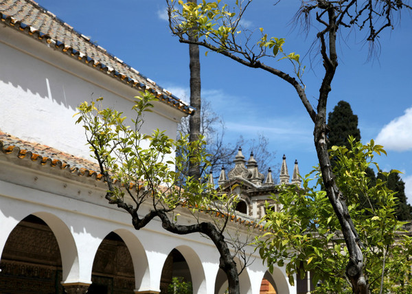 real alcazar c 10 - Seville