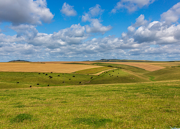 Dorset-3 - Landscape: Dorset