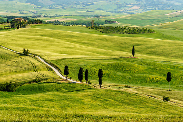 DSC03636 - Tuscany