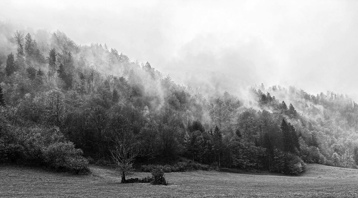 Slovenia iPhone - 149 - Slovenia in the Mist