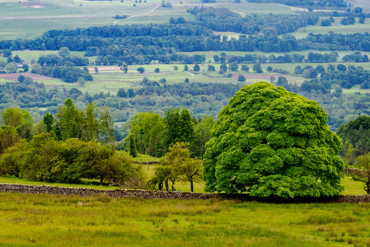 Yorkshire8 - Yorkshire Meadows, Barns and Waterfalls