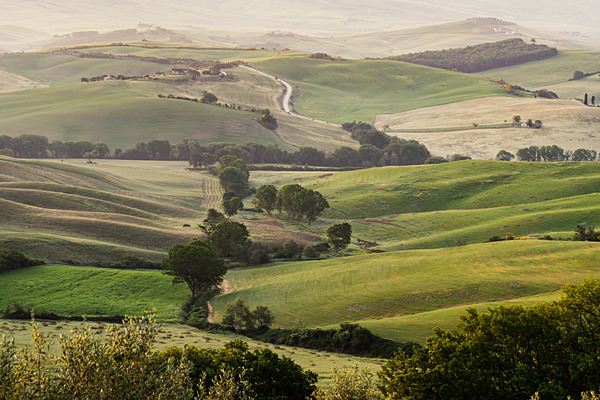 DSC03268 - Tuscany