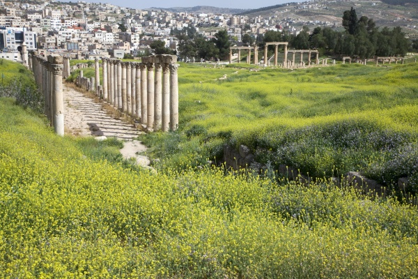 Jerash 34 - Jordan - Jerash