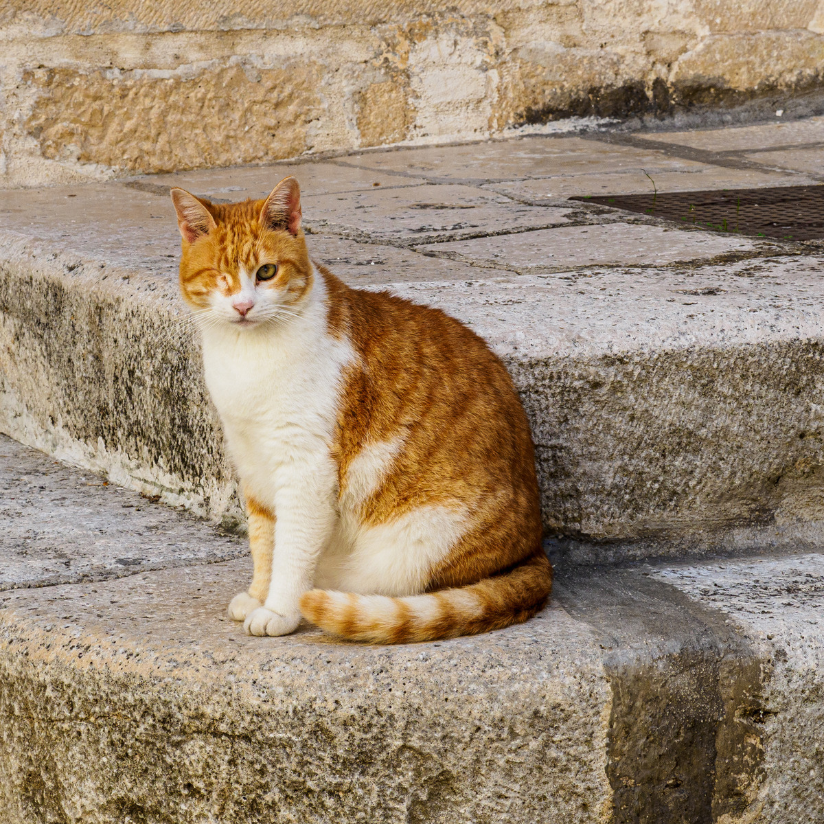 Puglia-89 - Puglia: More Quirky