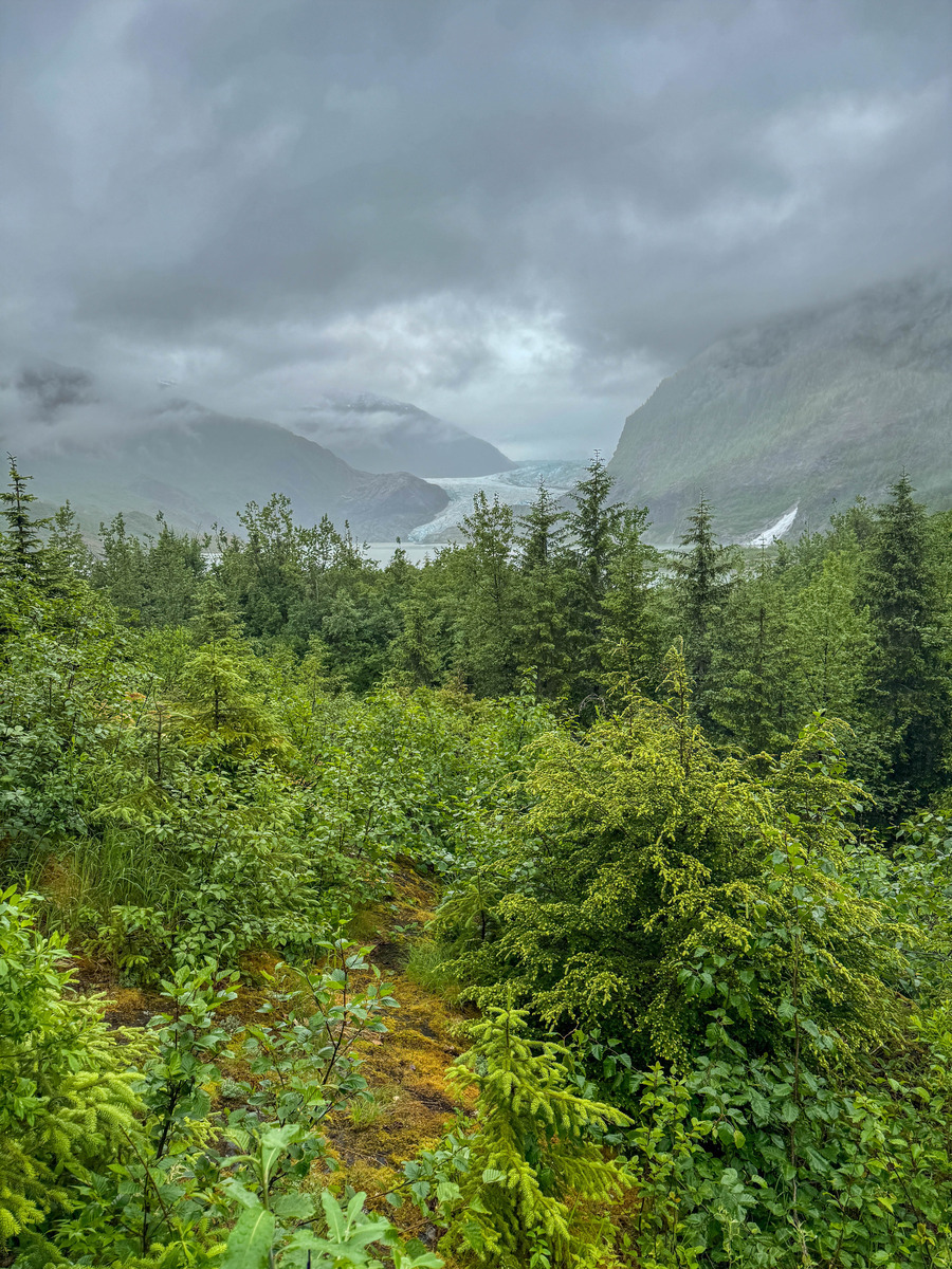 Juneau and Humpbacked Whales-266 - Alaska 2