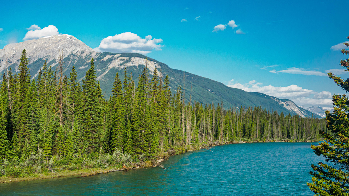 Canada Alaska Card 4-9 - Rocky Mountaineer