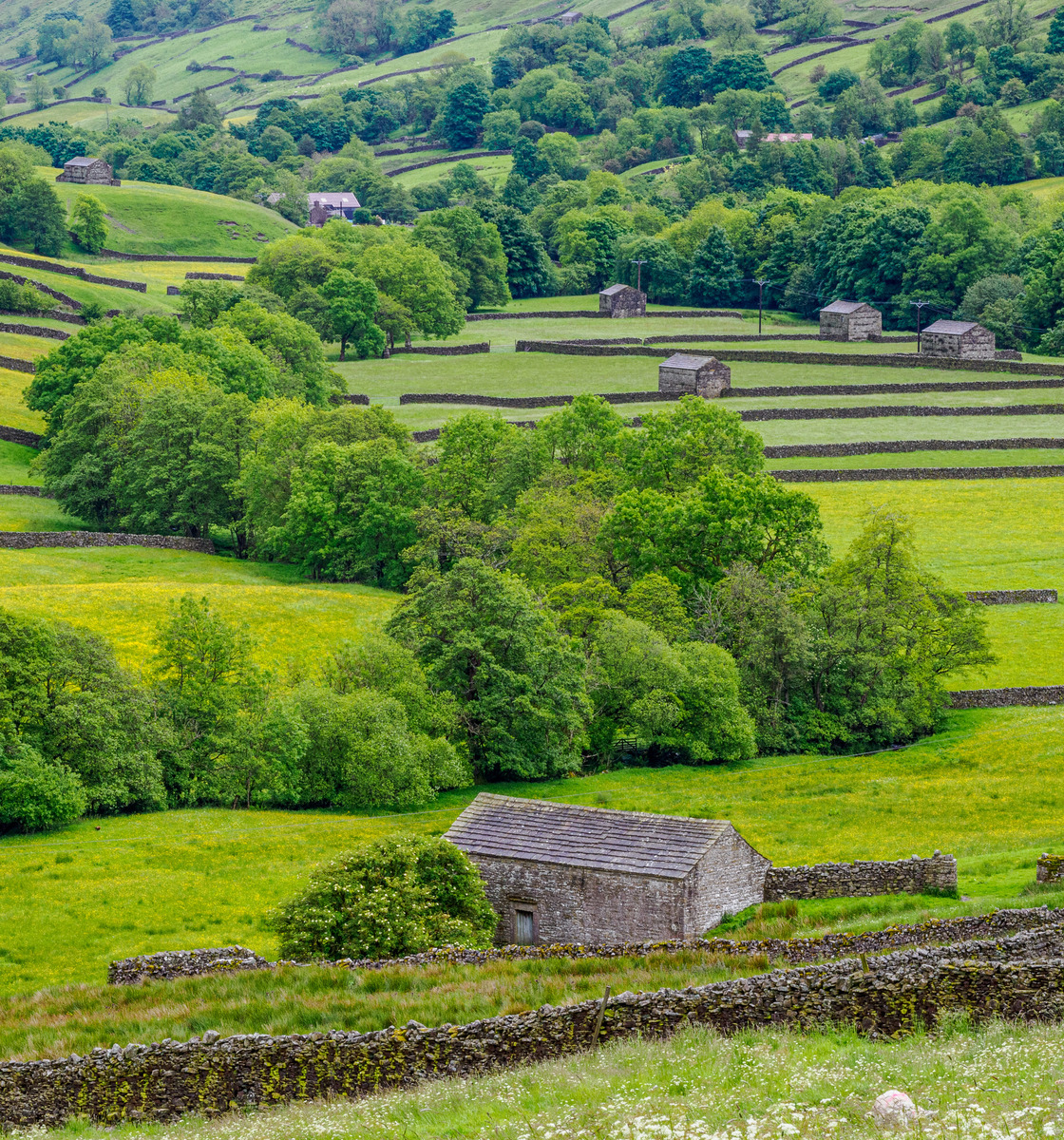 Yorkshire14 - Yorkshire Meadows, Barns and Waterfalls