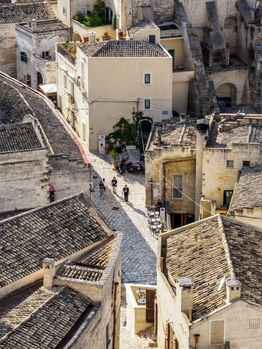 Puglia-251 - Puglia: Landscape with Trulli
