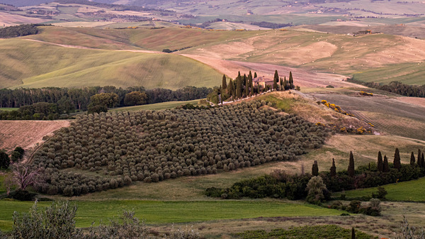 IMG_8874 - Tuscany