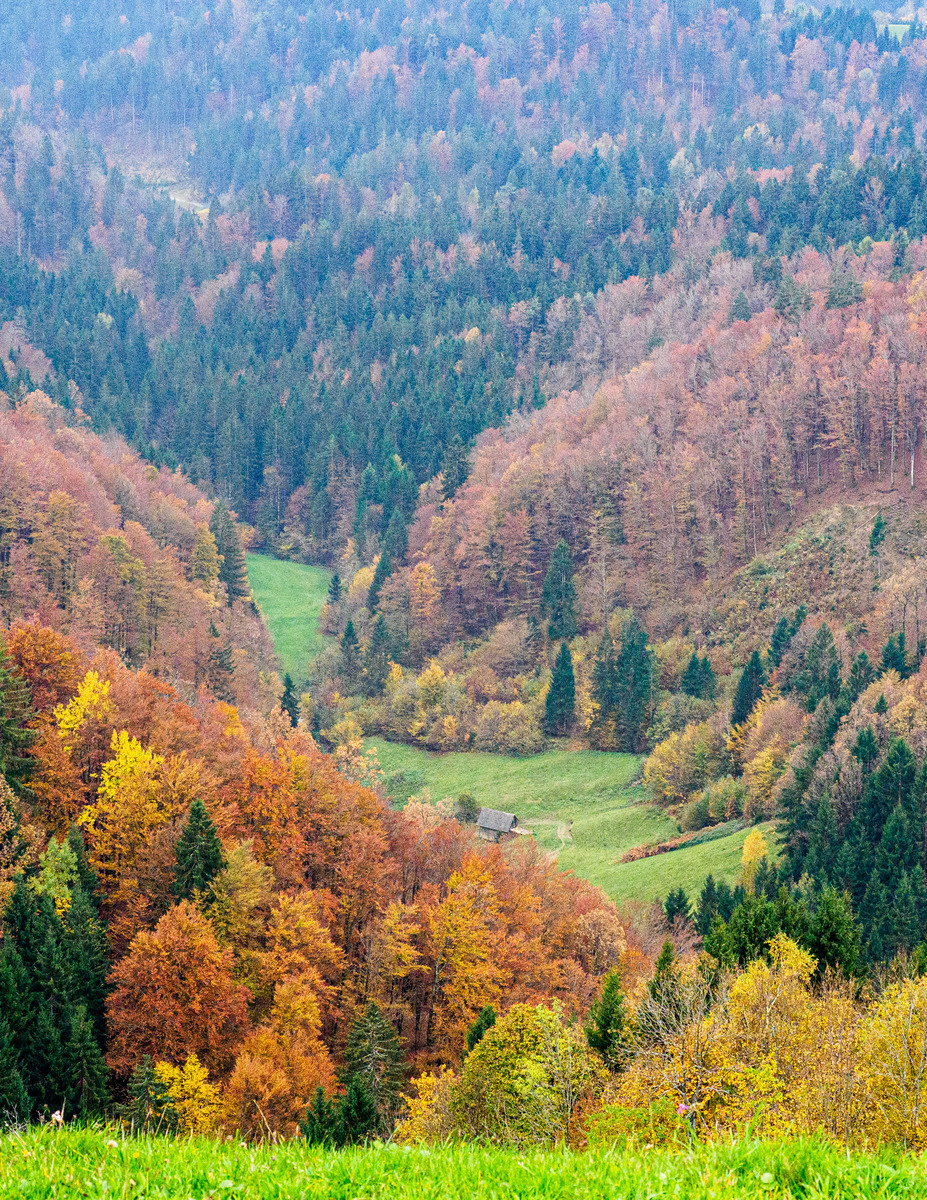 Slovenia Card4-21 - Slovenia Landscape