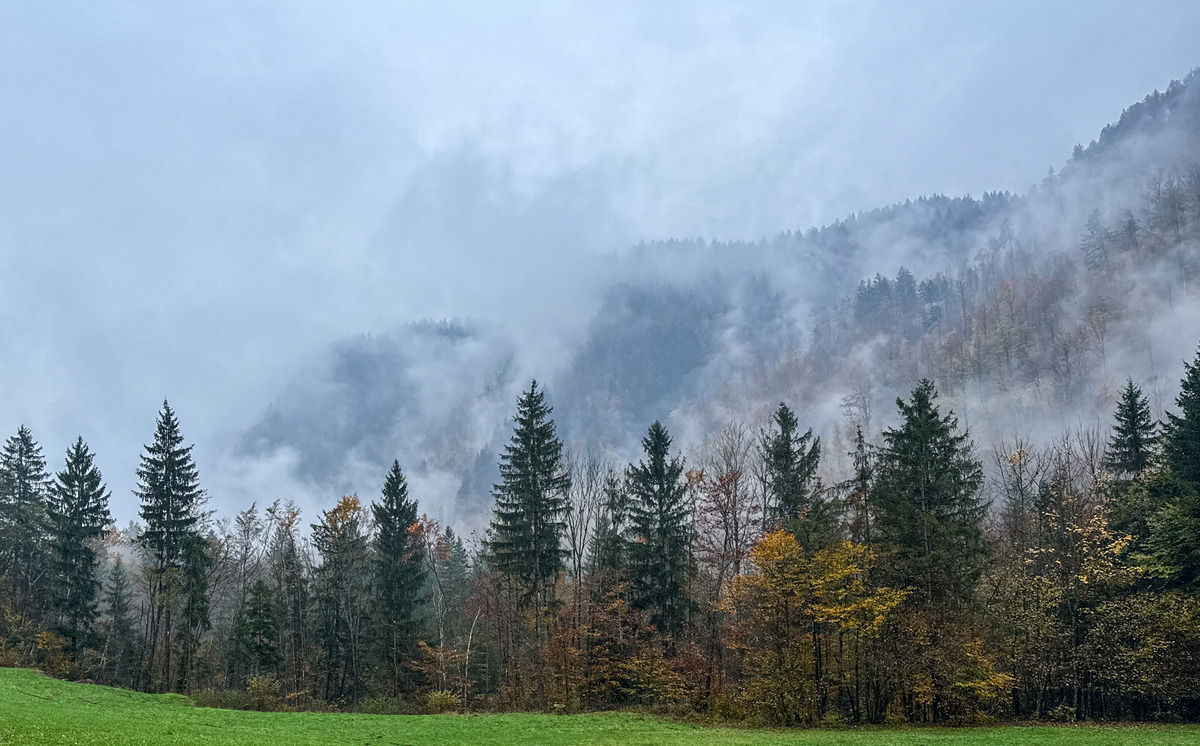 Slovenia iPhone - 156 - Slovenia in the Mist