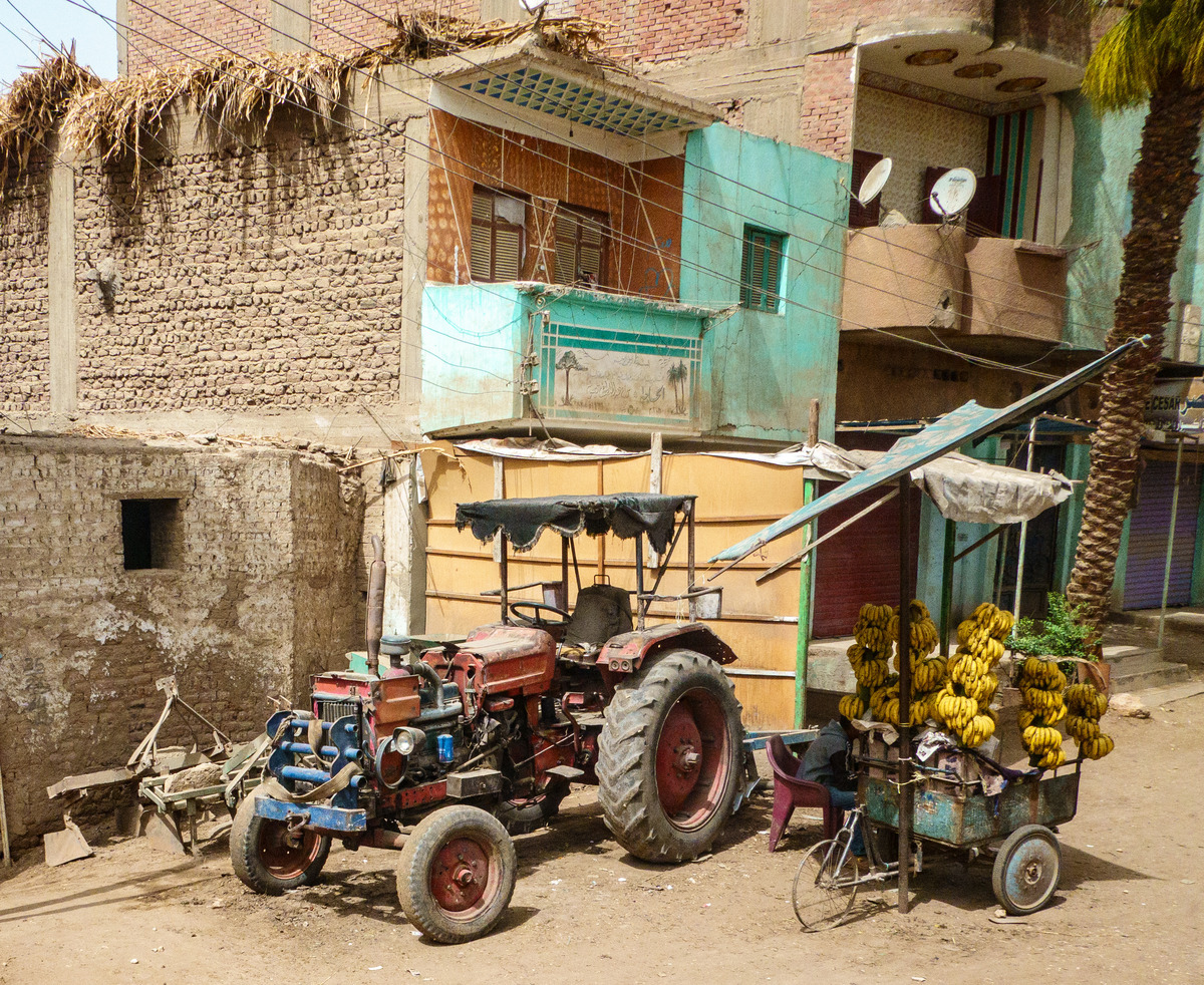 Card3-65 - Egypt: Street and River