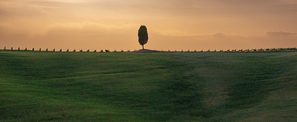IMG_8662 - Tuscany