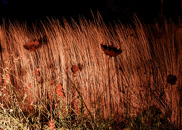 Wimpole lights 2021-44 - Wimpole Hall
