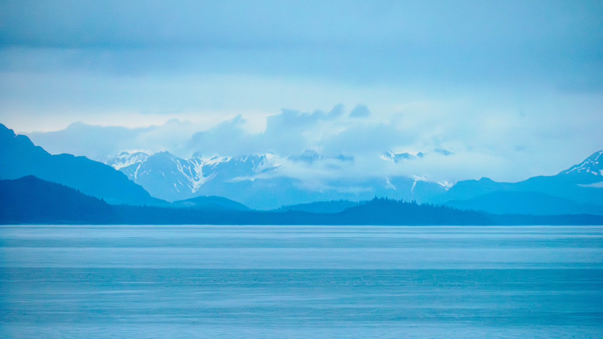 Juneau and Humpbacked Whales-308 - Alaska 2