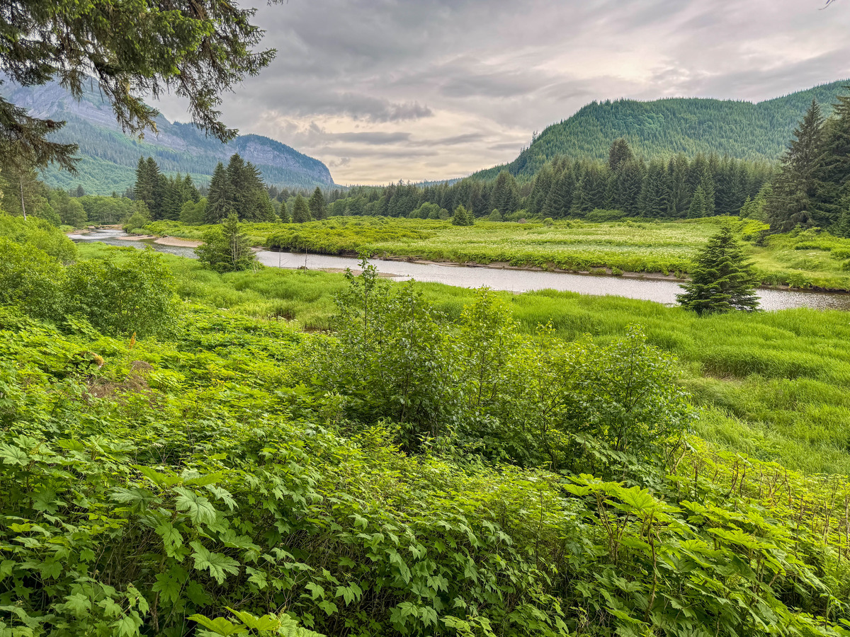 Icy Strait Point-50 - Alaska 1