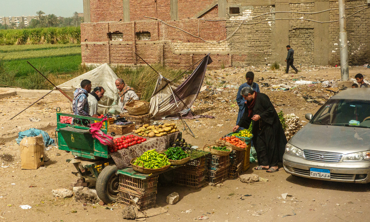 Card3-70 - Egypt: Street and River