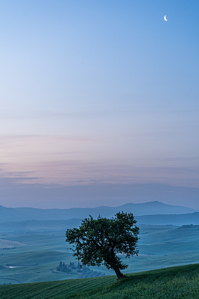 DSC03713 - Tuscany
