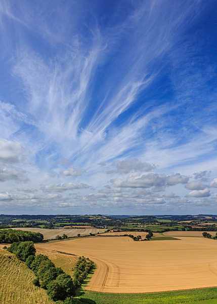 Dorset - Landscape: Dorset