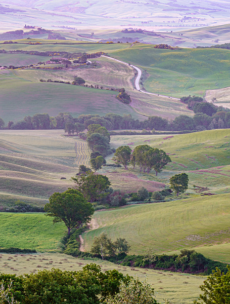 DSC03263 - Tuscany