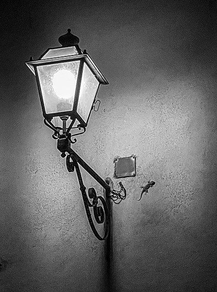 Tuscany iPhone - 100 - Tuscany