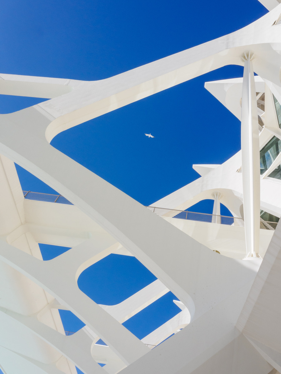 Valencia 3-21 - Valencia: City of Arts and Sciences