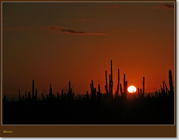  - Mexico (Journeys)