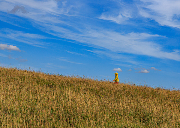 Dorset-4 - Landscape: Dorset