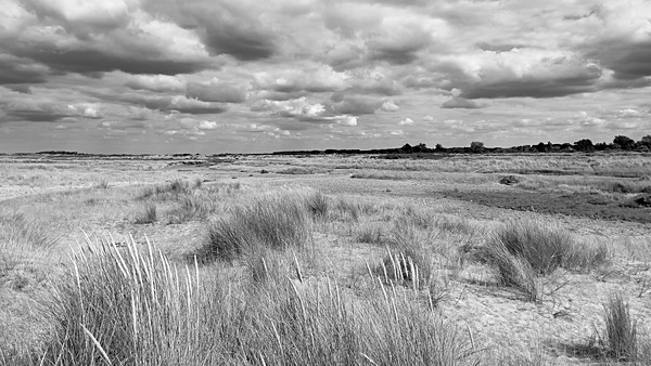 Norfolk iPhone - 33 - (Mainly) Black and White