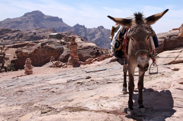 Petra 149 - Jordan - Petra