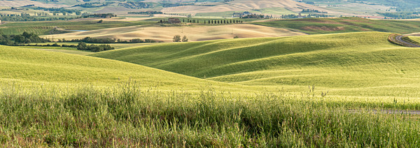 DSC03932 - Tuscany