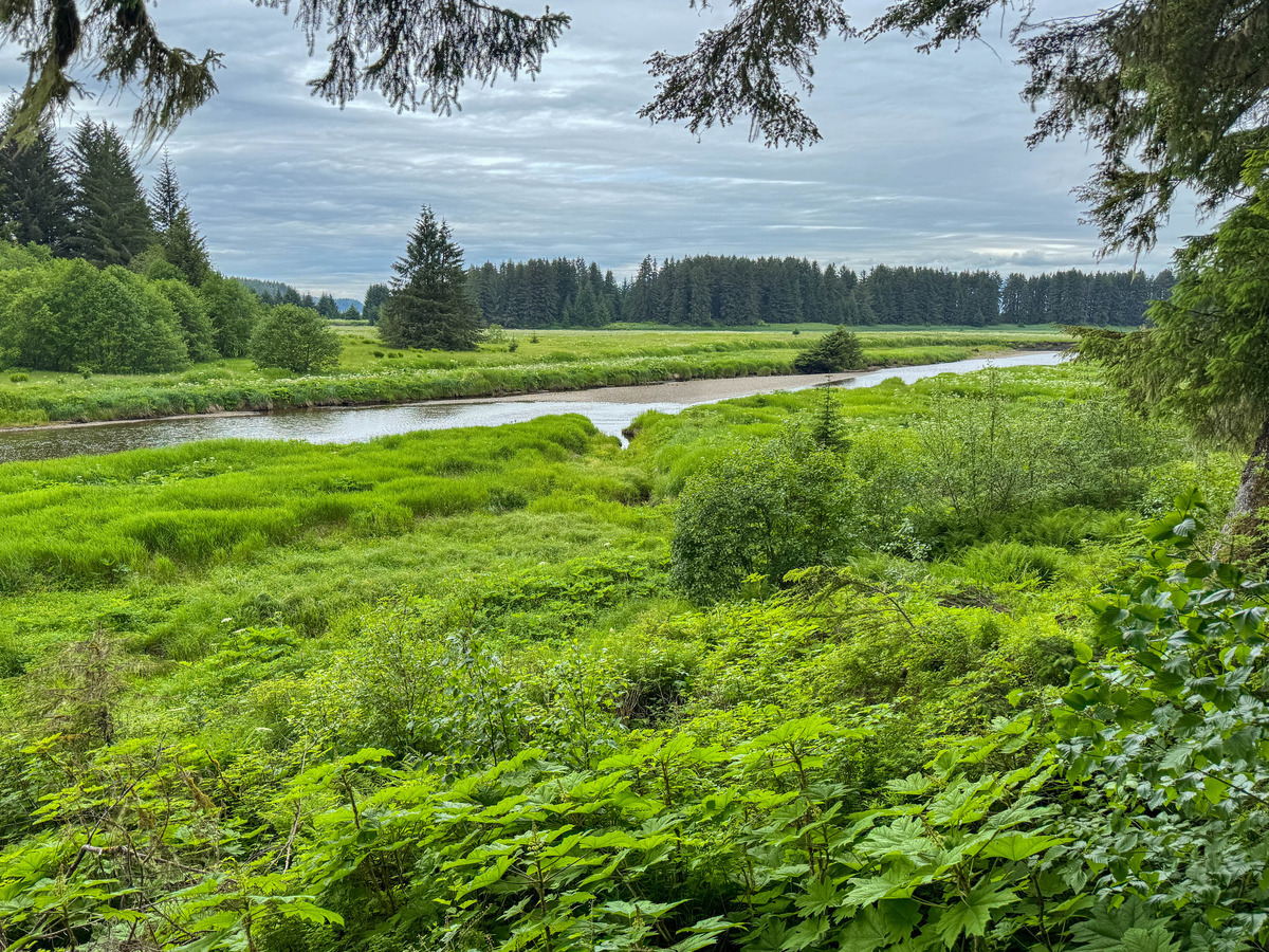 Icy Strait Point-49 - Alaska 1