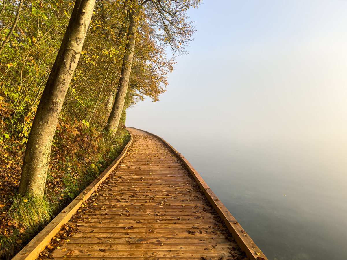 Slovenia iPhone - 25 - Slovenia in the Mist