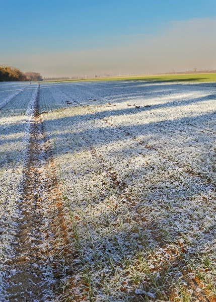  - Wandlebury in Winter