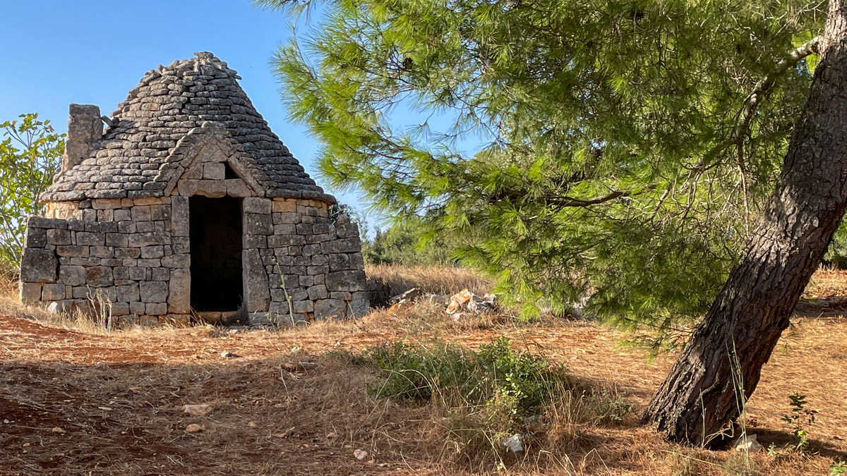 Puglia-807 - Puglia: Landscape with Trulli