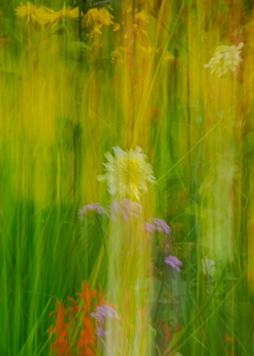 Mainly Floral 2024-3 - (Mainly) Floral 2024
