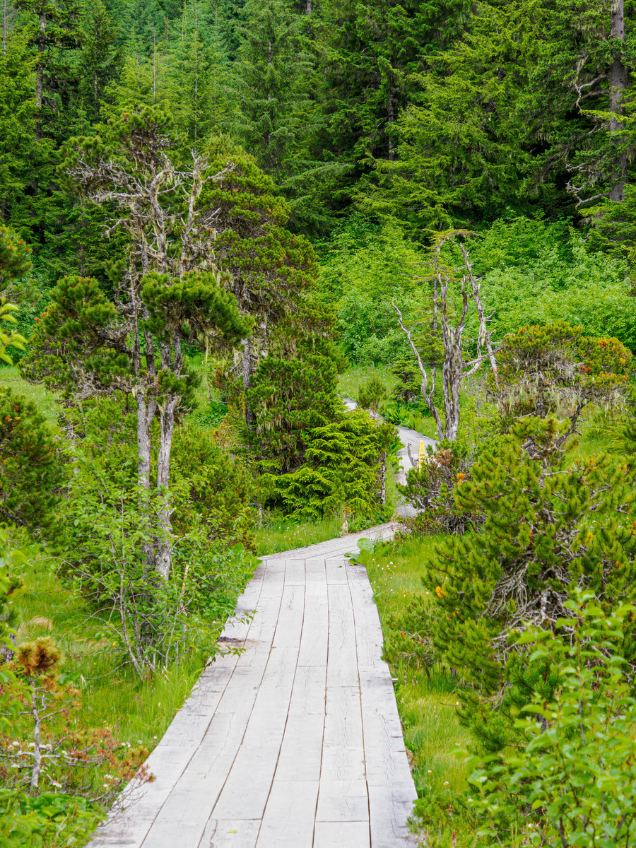 Icy Strait Point-46 - Alaska 1