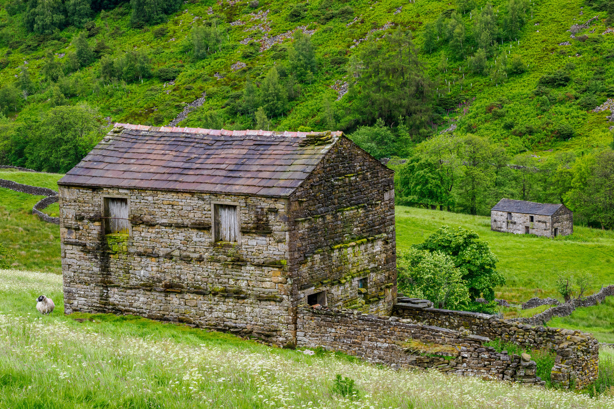 Yorkshire15 - Yorkshire Meadows, Barns and Waterfalls