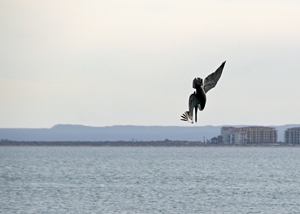  - La Paz, Mexico