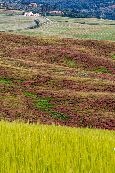 IMG_8661 - Tuscany