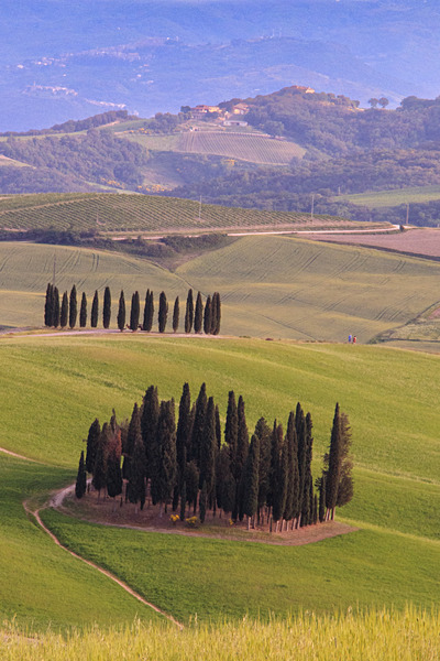IMG_8644 - Tuscany