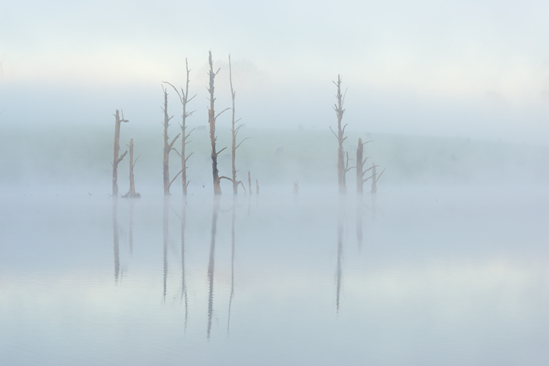 Ten Ducks - Snowy Mountains