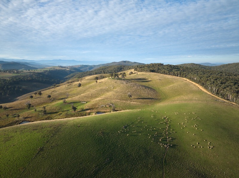 Tumbarumba Autumn Morning - Recent Work