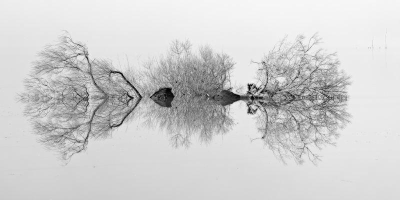 Mannus Asymmetry - Snowy Mountains