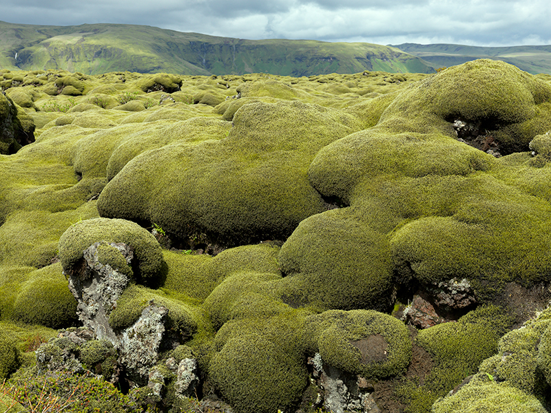 Eldraun - Iceland landscapes