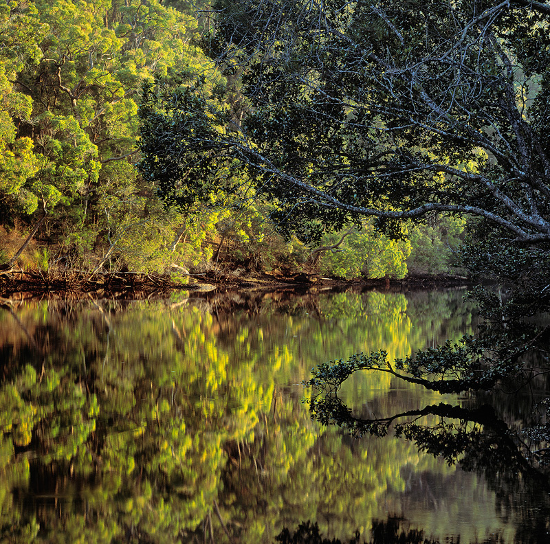 Mc Carrs Creek reflections - Landscapes