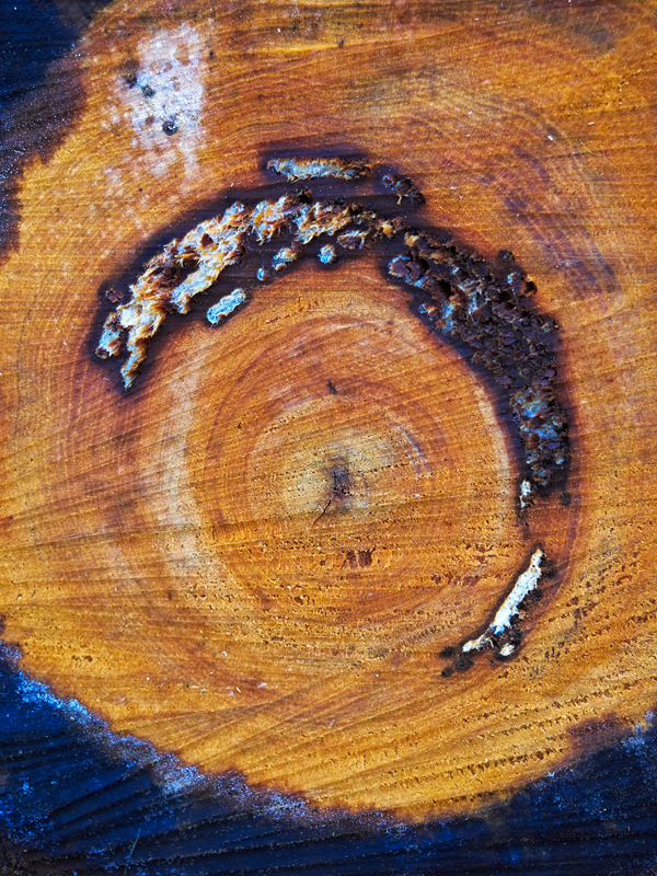 Chainsaw Study #1 - Chainsaw Art