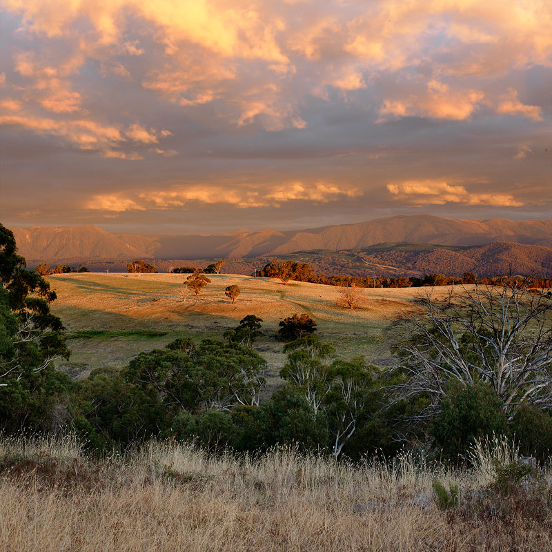 Nob Hill - Snowy Mountains