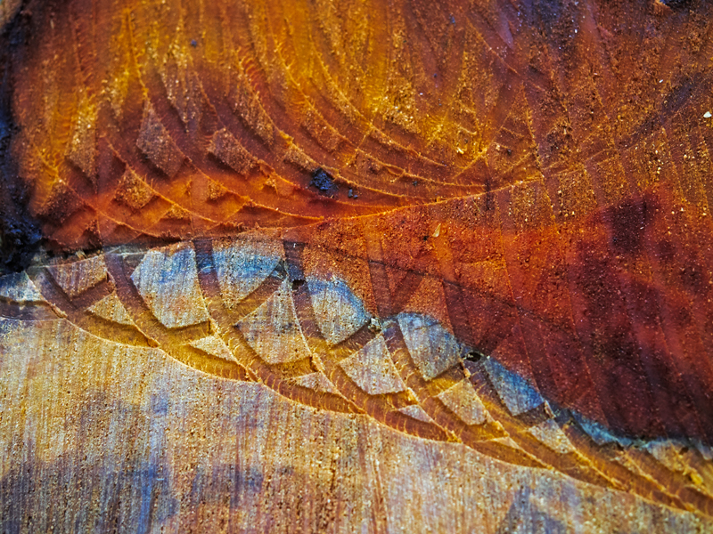 Chainsaw Study #4 - Chainsaw Art