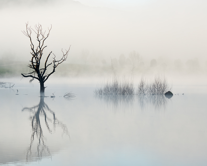 2 Ducks left - Snowy Mountains